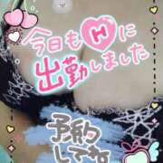 ヒメ日記 2025/02/24 21:05 投稿 あおい 石川金沢ちゃんこ