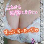 ヒメ日記 2025/02/27 10:45 投稿 あおい 石川金沢ちゃんこ