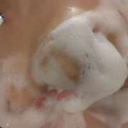 ヒメ日記 2025/07/08 12:35 投稿 あおい 石川金沢ちゃんこ