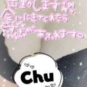 ヒメ日記 2025/11/26 15:02 投稿 あおい 石川金沢ちゃんこ