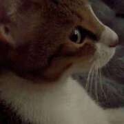 ヒメ日記 2025/08/23 12:52 投稿 真中【まなか】 丸妻 西船橋店