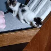 ヒメ日記 2025/08/24 11:40 投稿 真中【まなか】 丸妻 西船橋店