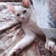 ヒメ日記 2026/04/27 12:36 投稿 真中【まなか】 丸妻 西船橋店