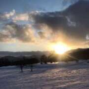 ヒメ日記 2024/12/15 09:50 投稿 岡田　由美 東京ローズマリー