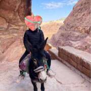 ヒメ日記 2024/12/31 14:57 投稿 岡田　由美 東京ローズマリー