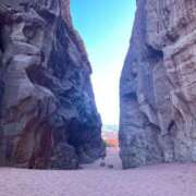 ヒメ日記 2025/07/28 17:27 投稿 岡田　由美 東京ローズマリー