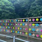 ヒメ日記 2025/08/01 20:07 投稿 岡田　由美 東京ローズマリー