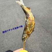 ヒメ日記 2025/03/08 14:43 投稿 にこ 水戸人妻花壇