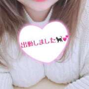 ヒメ日記 2025/04/03 14:39 投稿 にこ 水戸人妻花壇