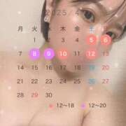 ヒメ日記 2025/04/01 06:48 投稿 藤本　ましろ 未熟な人妻