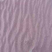 ヒメ日記 2025/01/11 15:09 投稿 岡田 ローズマリー大塚