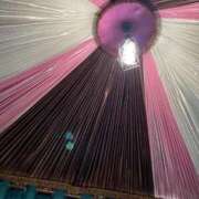 ヒメ日記 2025/01/13 09:49 投稿 岡田 ローズマリー大塚