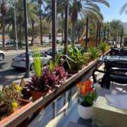 ヒメ日記 2025/01/15 21:59 投稿 岡田 ローズマリー大塚