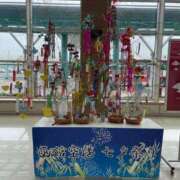 ヒメ日記 2025/07/07 19:24 投稿 岡田 ローズマリー大塚