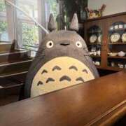 ヒメ日記 2025/10/12 06:42 投稿 山内あんり プルデリR40