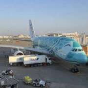 ヒメ日記 2025/03/23 08:40 投稿 いちか プレイガール(亀有)