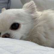 ヒメ日記 2025/06/29 09:54 投稿 いちか プレイガール(亀有)