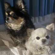 ヒメ日記 2026/03/21 10:32 投稿 いちか プレイガール(亀有)