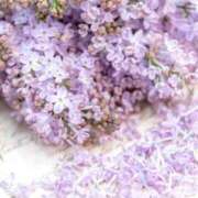 ヒメ日記 2025/05/16 21:44 投稿 千尋-Chihiro- Aroma Bloom（アロマブルーム）