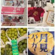 ヒメ日記 2025/11/29 11:27 投稿 井川★ プリマドンナ