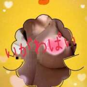 ヒメ日記 2025/11/29 14:17 投稿 井川★ プリマドンナ