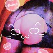 井川★ まる プリマドンナ