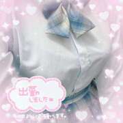 ヒメ日記 2025/04/06 14:45 投稿 ねね ビデオdeはんど 町田校