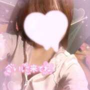 ヒメ日記 2025/06/20 11:33 投稿 椿姫　せりな 癒し娘診療所 水戸・ひたちなか店