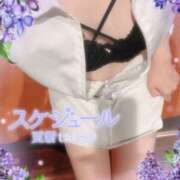 ヒメ日記 2025/07/23 11:01 投稿 椿姫　せりな 癒し娘診療所 水戸・ひたちなか店