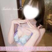 ヒメ日記 2026/09/08 08:01 投稿 椿姫　せりな 癒し娘診療所 水戸・ひたちなか店