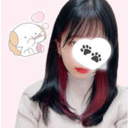 ヒメ日記 2025/02/18 21:01 投稿 ちわわ 世界のあんぷり亭 立川店