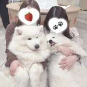 ヒメ日記 2025/04/05 06:00 投稿 ちわわ 世界のあんぷり亭 立川店