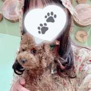 ヒメ日記 2025/04/12 00:00 投稿 ちわわ 世界のあんぷり亭 立川店