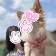 ヒメ日記 2025/08/24 00:01 投稿 ちわわ 世界のあんぷり亭 立川店