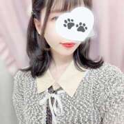 ヒメ日記 2025/10/05 00:00 投稿 ちわわ 世界のあんぷり亭 立川店