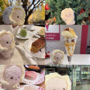 ヒメ日記 2025/11/30 00:00 投稿 ちわわ 世界のあんぷり亭 立川店