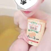 ヒメ日記 2026/01/24 00:00 投稿 ちわわ 世界のあんぷり亭 立川店