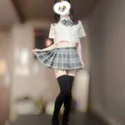 ちわわ ちわわちゃん໒꒰ྀི •ﻌ• ꒱ྀི১7/4〜出勤予定 世界のあんぷり亭 立川店