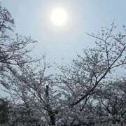 伊織 やっと(^O^) PLUS難波店