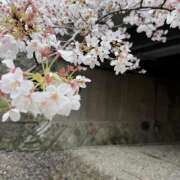 ヒメ日記 2026/04/03 19:05 投稿 あんな ラブ＆ナース