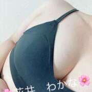 花井わかな こんにちは😌 若奥サマンサ（横浜ハレ系）