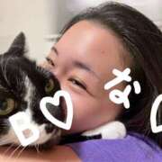 ヒメ日記 2025/12/07 00:47 投稿 内見 Bell.Madonna（ベルマドンナ）