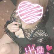 ヒメ日記 2024/02/14 12:21 投稿 まりん♡極上SPコース♡ PANTHER（パンサー）