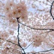 ヒメ日記 2026/04/05 23:57 投稿 もも ごほうびSPA仙台店