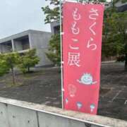 ヒメ日記 2026/06/11 20:47 投稿 もも ごほうびSPA仙台店