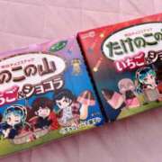 ヒメ日記 2023/09/26 13:01 投稿 ぷりん パラダイス2