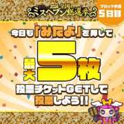 ヒメ日記 2024/11/22 11:19 投稿 ぷりん パラダイス2