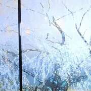 ヒメ日記 2025/03/02 12:16 投稿 藤乃 ピュアグレイス