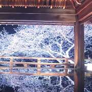 ヒメ日記 2025/04/05 21:44 投稿 藤乃 ピュアグレイス