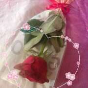 ヒメ日記 2025/05/18 12:04 投稿 藤乃 ピュアグレイス